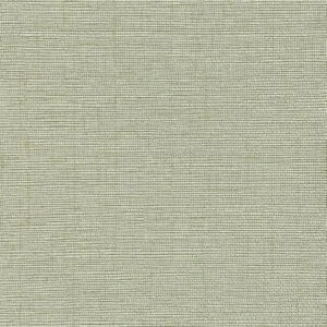 Vải dán tường Longines – Model LS2-05-06