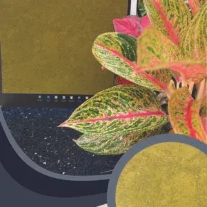 Vải dán tường Artistic 178-02