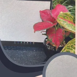 Vải dán tường Artistic 178-06