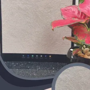 Vải Dán Tường Caroyal S78-11