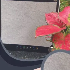 Vải Dán Tường Caroyal S78-12