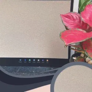 Vải Dán Tường Caroyal S78-38