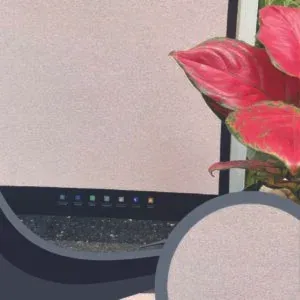 Vải Dán Tường Caroyal S78-29