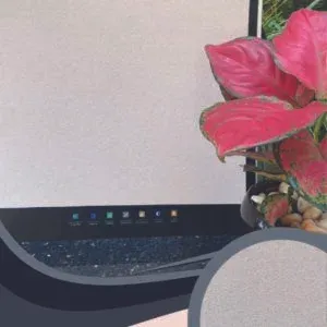 Vải Dán Tường Caroyal S78-32