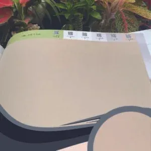 Vải dán tường Caroyal C09-47