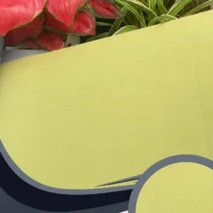 Vải dán tường Caroyal C10-03