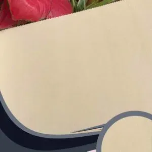 Vải dán tường Caroyal C10-10