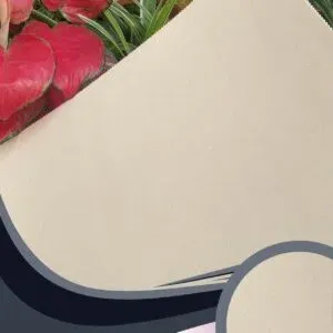 Vải dán tường Caroyal C10-11