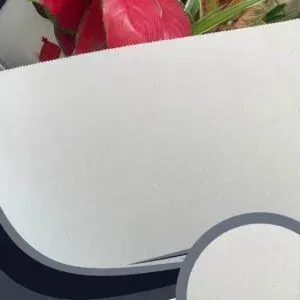 Vải dán tường Caroyal C10-17