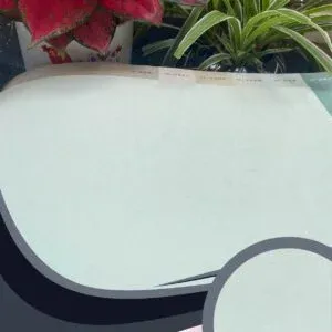 Vải dán tường Caroyal C10-23