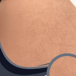 Vải dán tường Caroyal C10-47