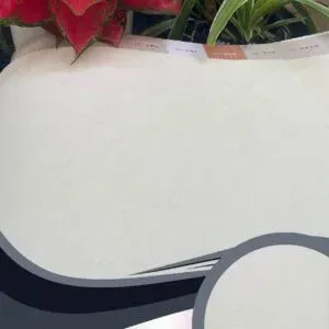 Vải dán tường Caroyal C10-48