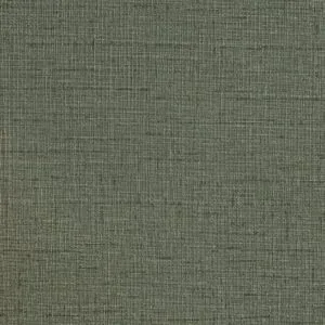 Vải dán tường Longines – Model LS2-10-05