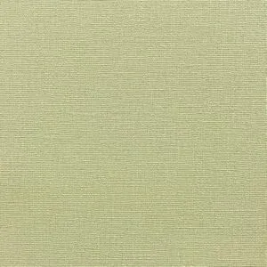 Vải dán tường Longines – Model LS4-05-11