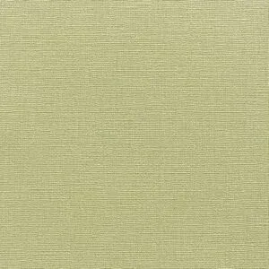 Vải dán tường Longines – Model LS4-05-12